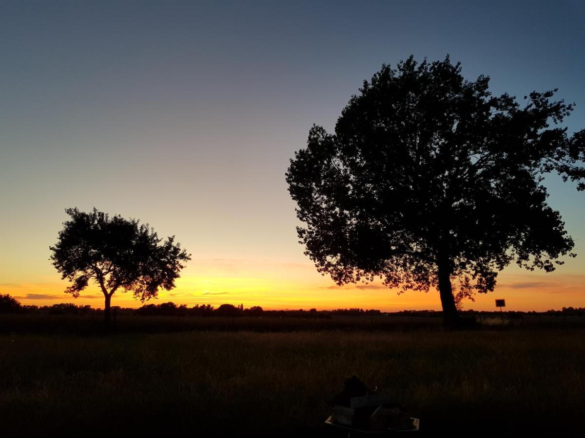 Fewo Abendrot Insel Poel Bagian luar foto